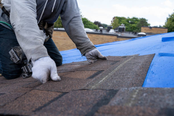 Best Residential Roof Replacement  in Mystic, CT